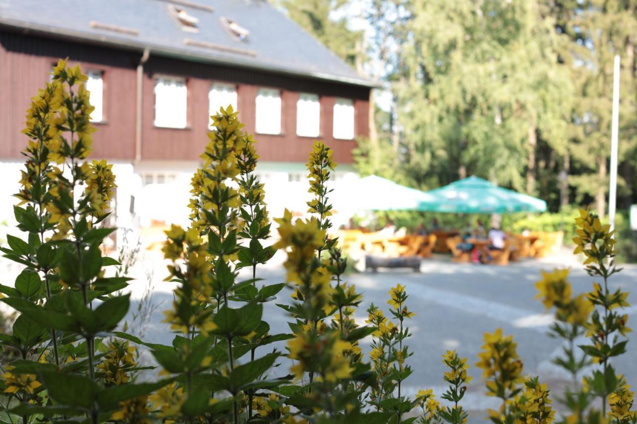 Buerger- Und Berggasthaus Scheibenberg Exterior foto